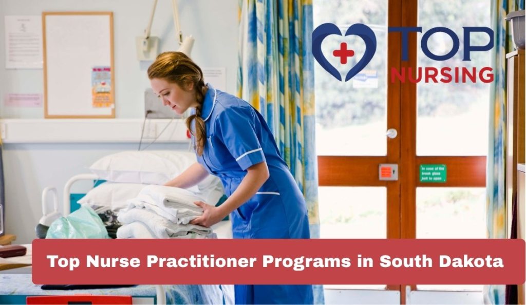 Top Nurse Practitioner Programs in South Dakota