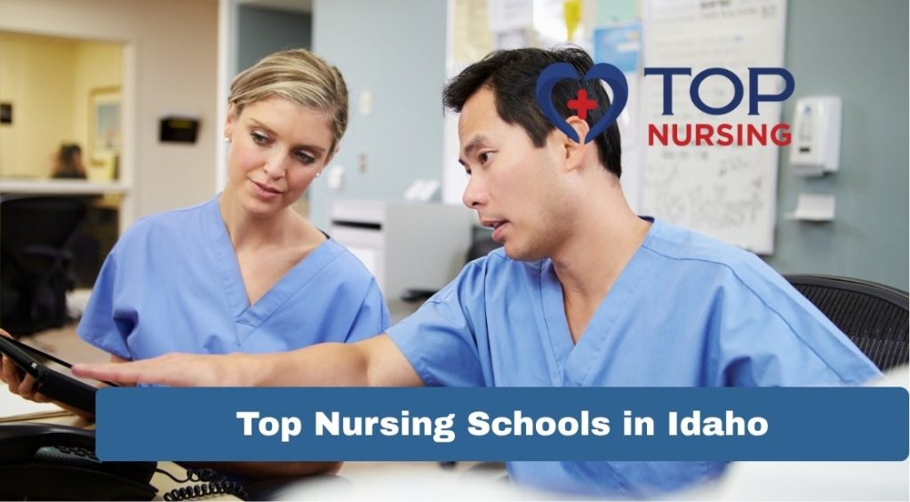 Top Nursing Schools in Idaho